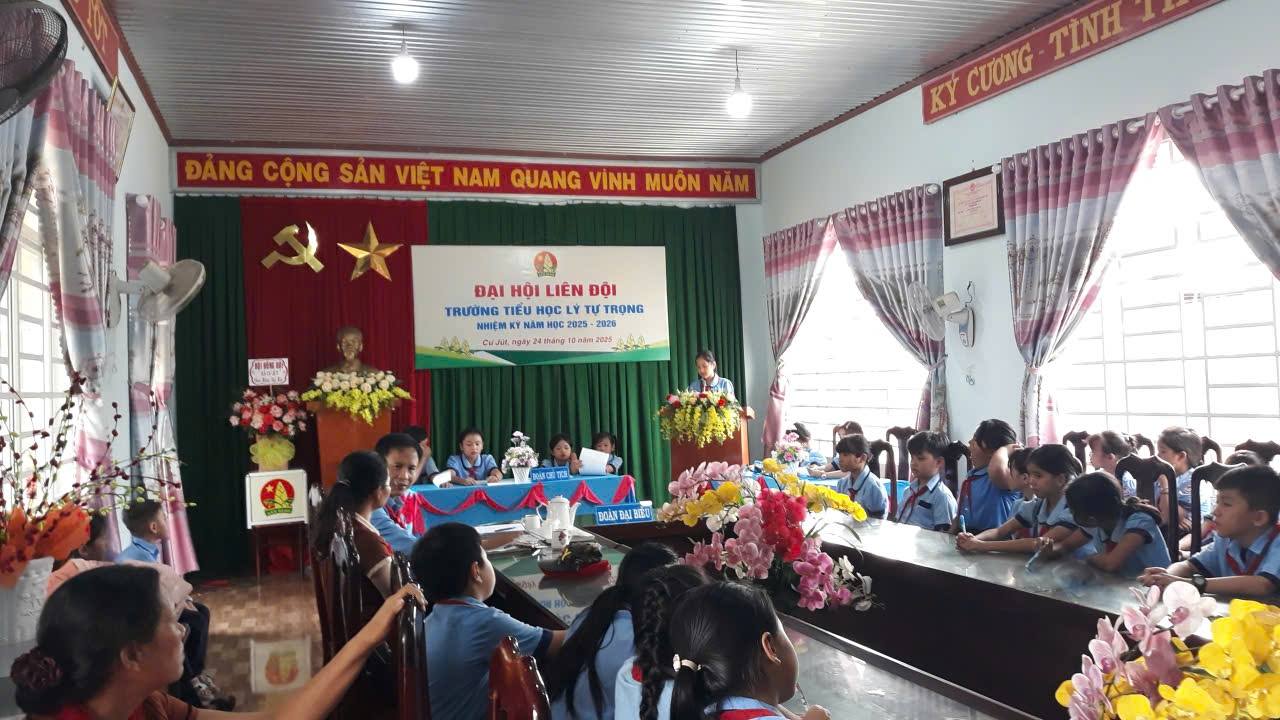 báo cáo tham luận